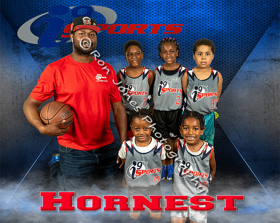 Hornets