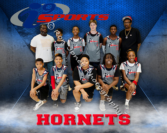 Hornets
