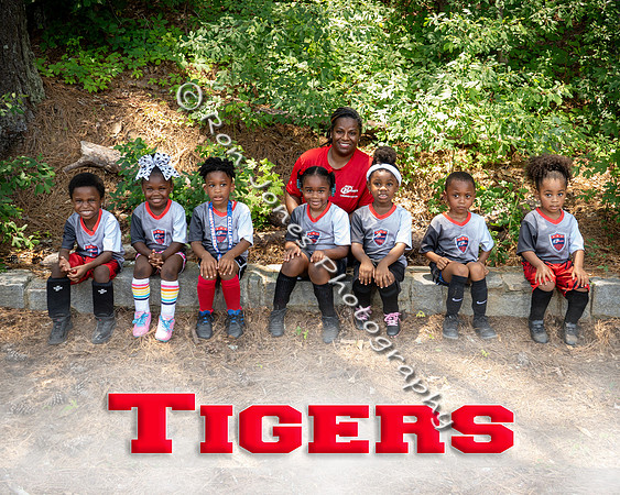 Tigers
