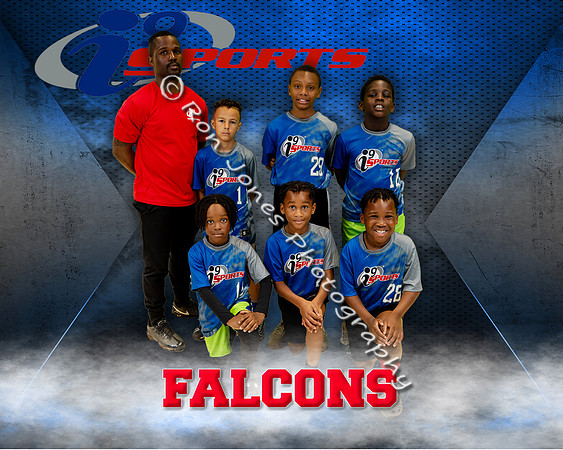 Falcons ii