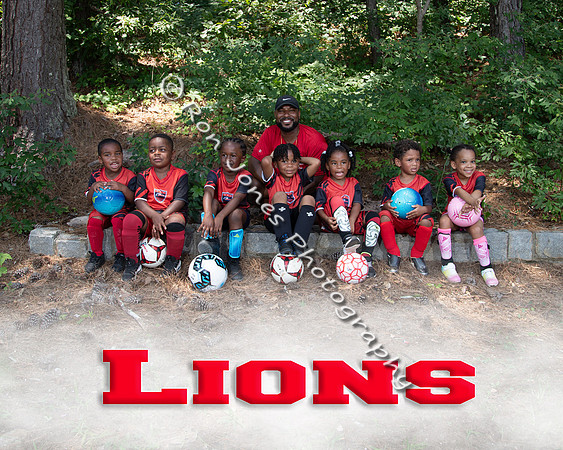 Lions