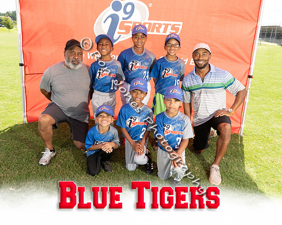 Blue Tigers