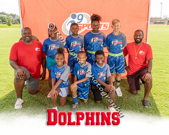Dolphins
