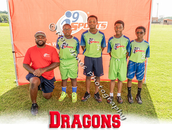 Dragons