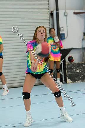 AVA Action-1