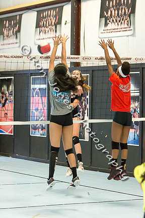 AVA Action-46