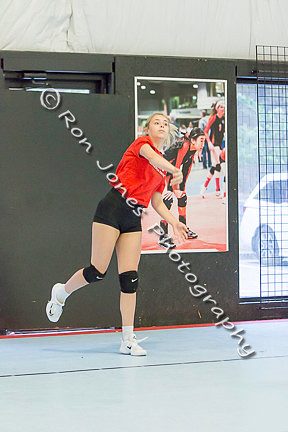 AVA Action-115
