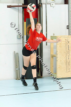 AVA Action-137