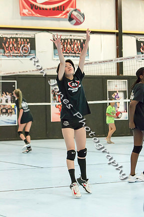 AVA Action-160