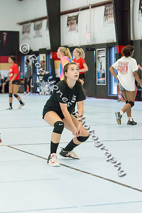 AVA Action-173