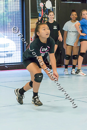 AVA Action-200