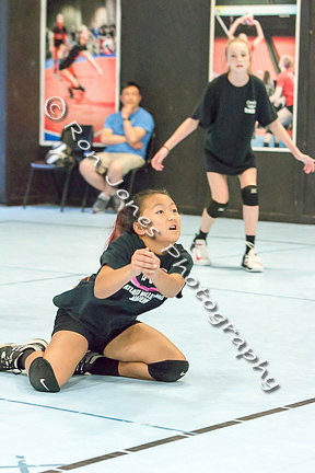 AVA Action-208