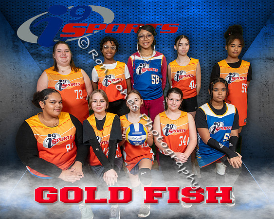 Gold Fish