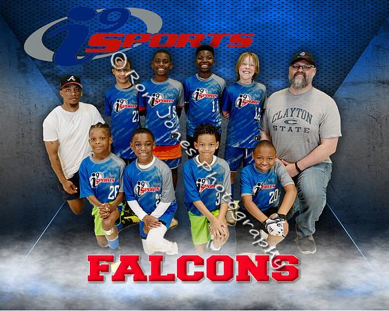 Falcons