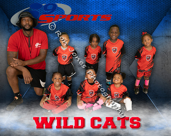 Wild Cats