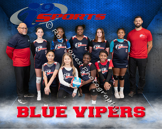 Blue Vipers