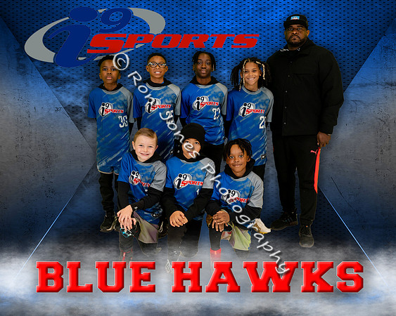Blue Hawks