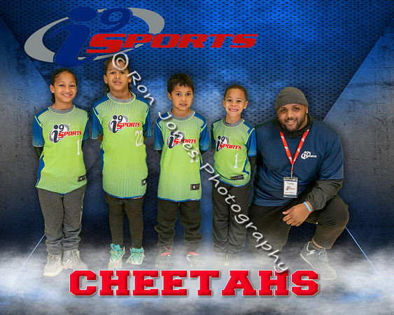 Cheetahs
