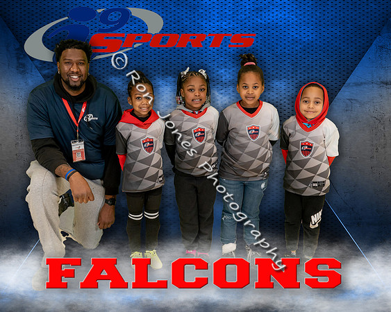 Falcons
