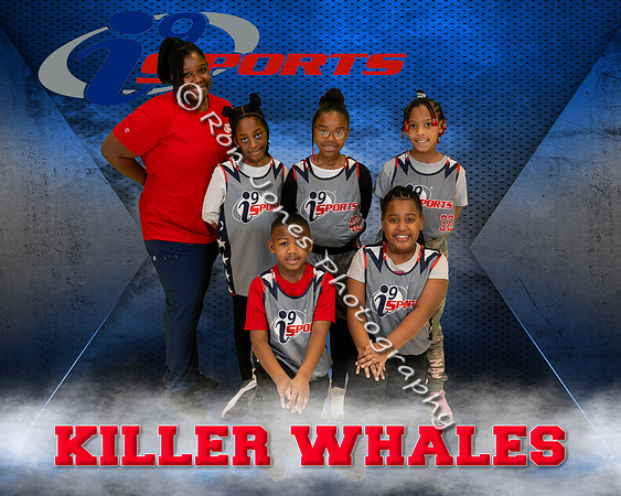 Killer Whales