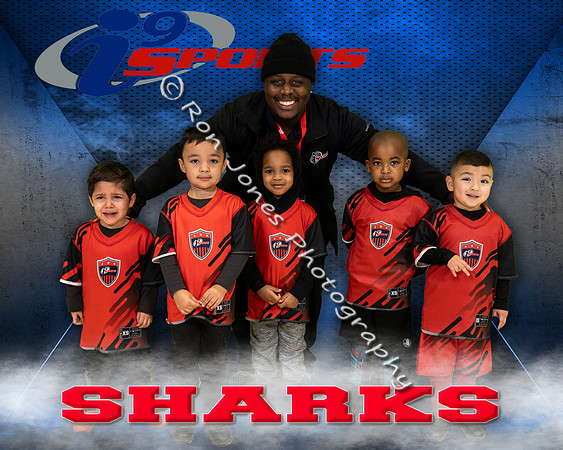 Sharks