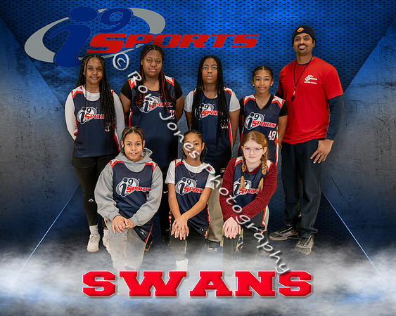 Swans