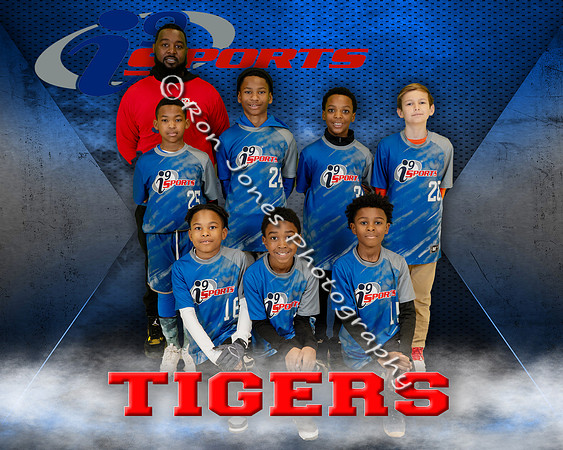 Tigers