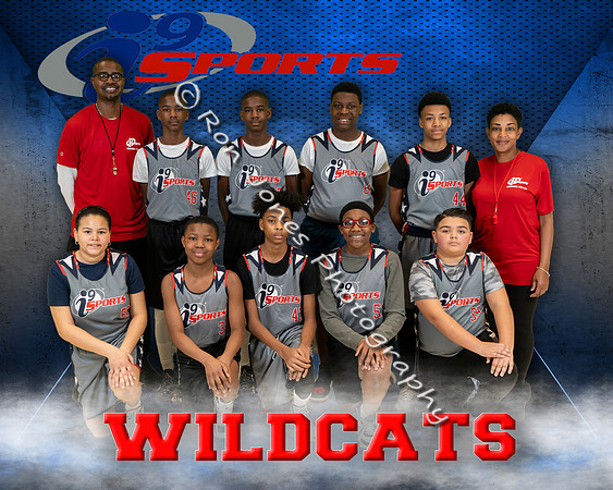 Wlidcats