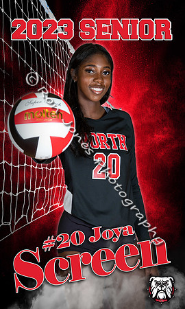 #20D copy