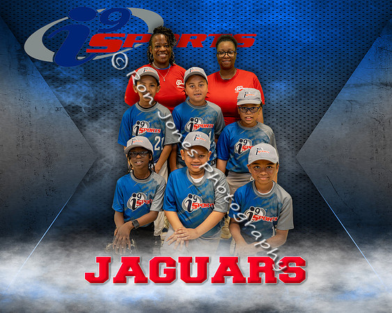 Jaguars ii