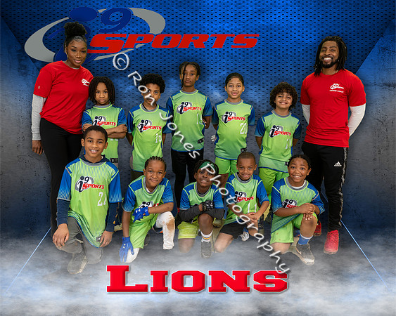 Lions