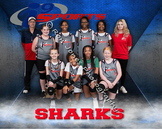 Sharks