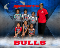 Bulls