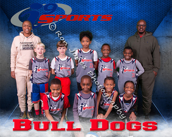 Bull Dogs