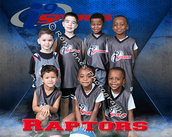 Raptors