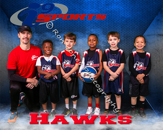 Hawks