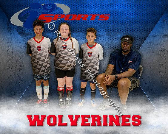 Wolverines