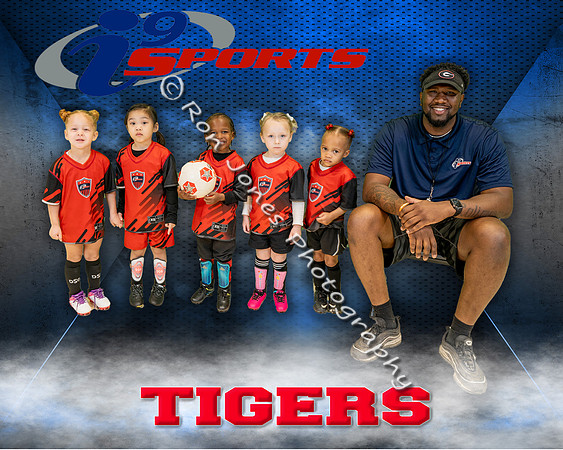 Tigers 3-5yr