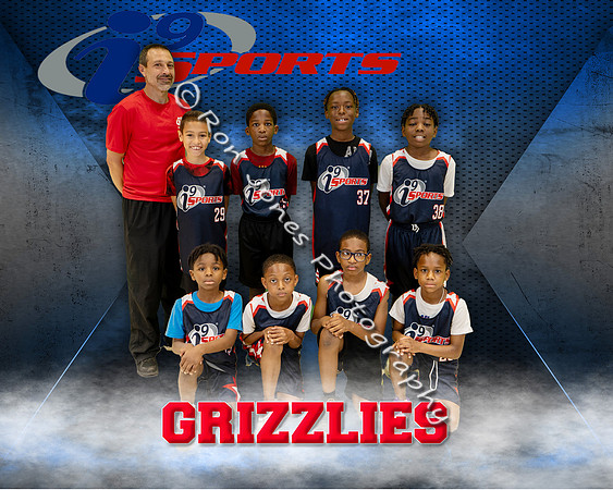 Grizzlies ii