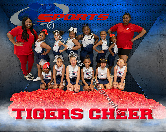 Tigers Cheer