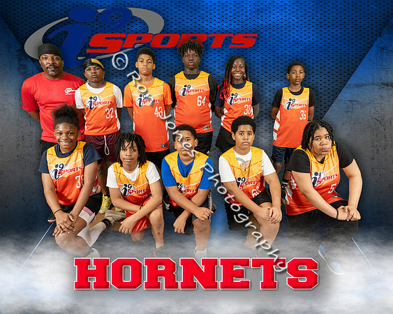 Hornets