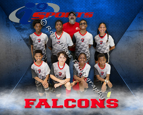 Falcons iii