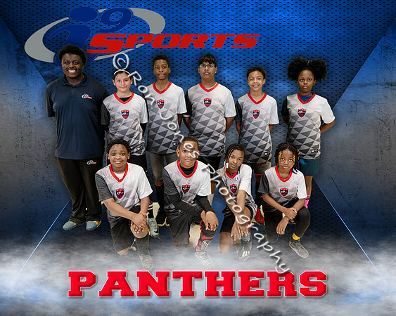 Panthers