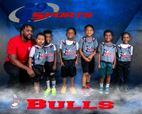 Bulls
