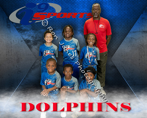 Dolphins