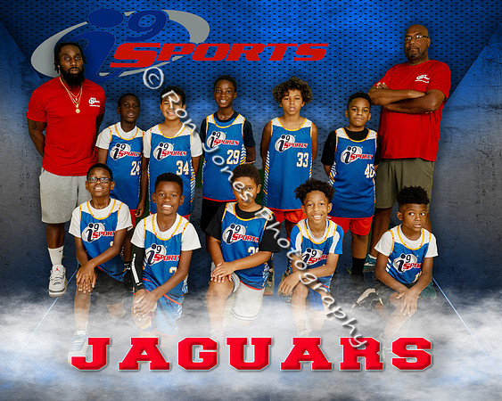 Jaguars