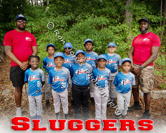 Sluggers