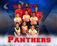 Panthers