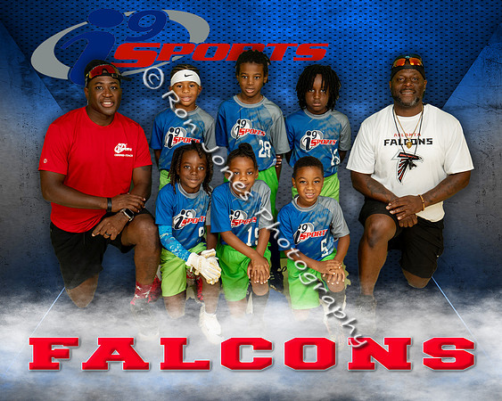 Falcons