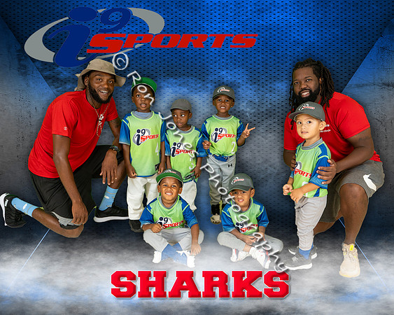 Sharks